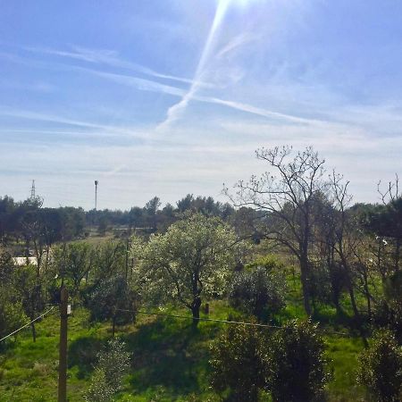 Sobe Bosiljka Hotel Nin Kültér fotó